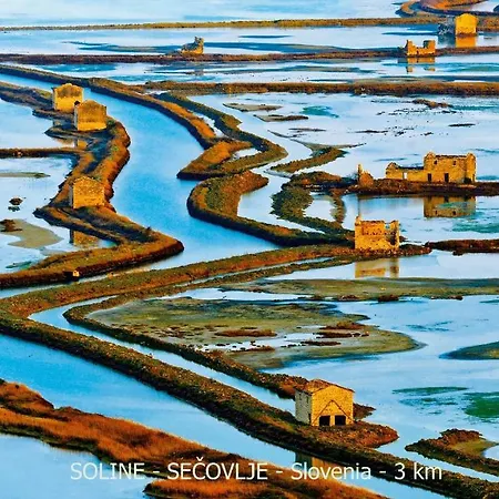 Peaceful Tinka Vm